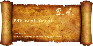 Bányai Antal névjegykártya