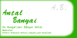 antal banyai business card