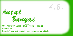 antal banyai business card